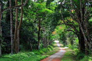 （示意圖源：互聯網） 