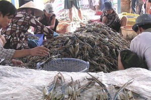 輸往美國水產取得突破性增長