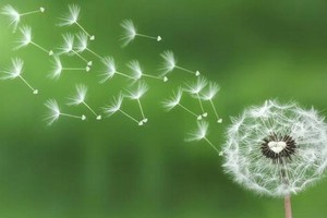 （示意圖源：互聯網） 