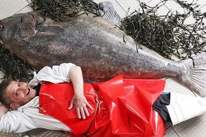 巨型比目魚身長與一位成年人不遑多讓。（圖源:互聯網）