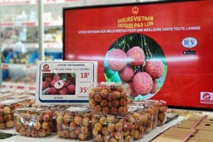 越南荔枝在法國巴黎一超市架上亮相。（圖源：秋莊）
