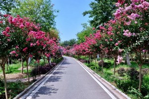 （示意圖源：互聯網）