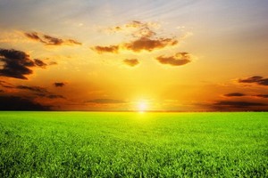 （示意圖源：互聯網）