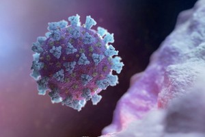 新冠病毒計算機圖像。（圖源：路透社）