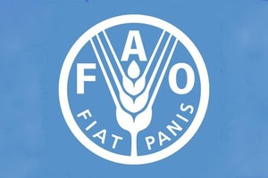 聯合國糧農組織(FAO)推特截圖
