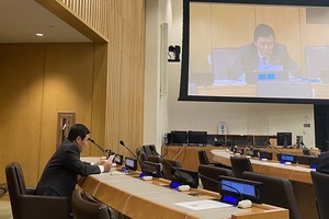 越南常駐聯合國代表團團長鄧廷貴大使在會議上發表講話。（圖源：越通社）