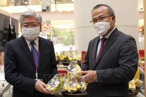 日本AEON公司代表推介越南香蕉。（圖源：越通社）