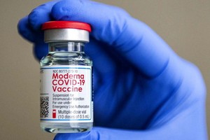 Moderna 新冠疫苗。（圖源：互聯網）