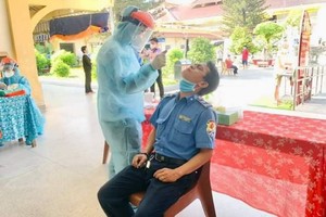 第五和第六郡展開新冠病毒採檢工作