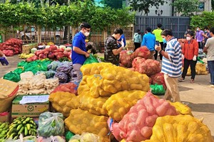 林同省同胞為本市“接濟”逾200公噸各類新鮮果蔬。