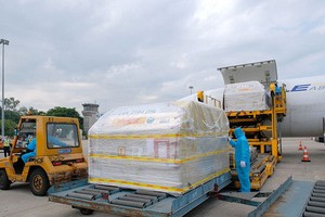 7月7日上午，首批輝瑞疫苗抵達河內市內牌國際機場。（圖源：陳明）