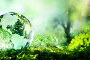 （示意圖源：互聯網） 