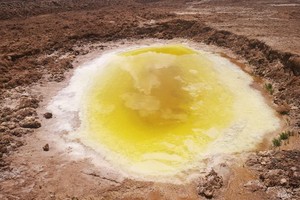 神奇“荷包蛋”泉