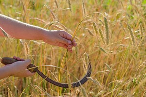 （示意圖源：互聯網） 