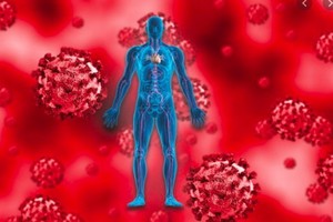 （示意圖源：互聯網） 