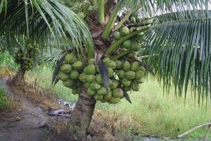 （示意圖源：互聯網） 