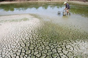 越南是受氣候變化影響最嚴重的國家之一。（圖源：莊陳）