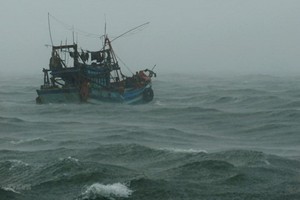 ３號颱風轉弱成低壓區。（示意圖源：越通社）