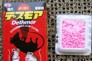 本市到處售賣糖果狀滅鼠藥。