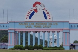 泰國北部碧差汶府一家雞肉加工廠超過3000名工人的新冠病毒檢測呈陽性。（圖源：互聯網）