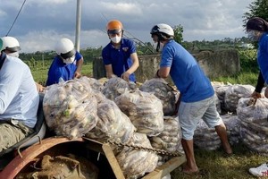 林同省的志願隊收成農產品運到本市。（圖源：黃玉）