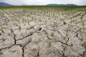 （示意圖源：互聯網）