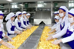 Vinamit公司生產線一隅。