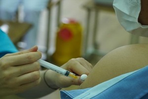 衛生部准予本市使用 Vero Cell 新冠疫苗。圖為一名市民接受新冠疫苗注射。（示意圖源：真福）