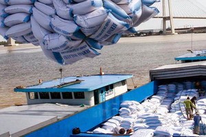 （示意圖源：互聯網） 