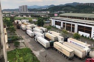 數百輛貨車停留在諒山省新清口岸附近等待通關。（圖源：TNO）