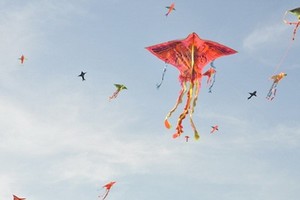 （示意圖源：互聯網） 