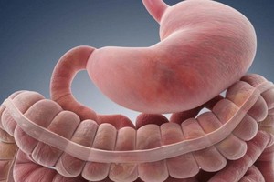 從“炎症”到“癌症”，到底有多遠？