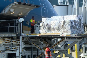 8月25日上午，美國越僑捐助逾 6.2 噸的醫療物資抵達內牌機場。（圖源：VNA）