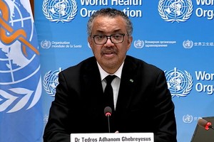 世衛組織總幹事譚德塞。（圖源: 互聯網）