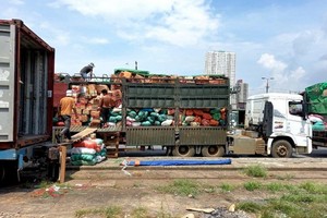 農產品從運貨車轉裝到列車車廂上。（圖源：范宣）