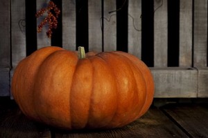 （示意圖源：互聯網） 