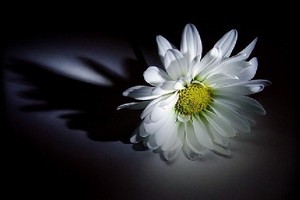 （示意圖源：互聯網） 