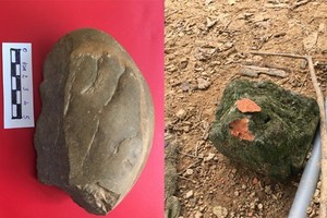 安沛省發現舊石器時代晚期文物