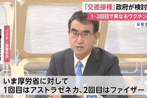 日本行政改革擔當相河野太郎在29日的富士電視台節目中發言。（圖源：視頻截圖）