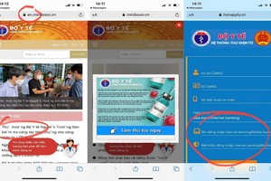 偽造衛生部網站。