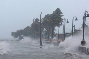 （示意圖源：互聯網） 