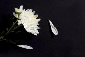 （示意圖源：互聯網） 