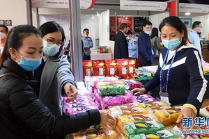 圖為2020年11月27日，消費者在廣西南寧國際會展中心挑選商品。（圖源：新華社）