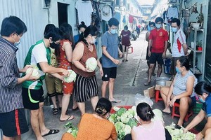 本市一個租房區正在接受支援單位的蔬菜。