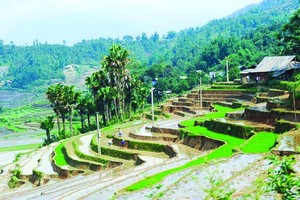 Agoda 疫後旅遊考察