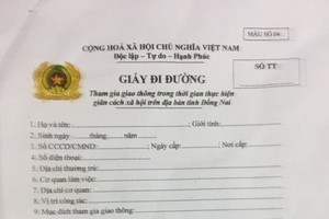 被查獲的偽造通行證。（圖源：警方提供）