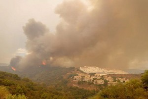 截至當地時間12日晚間，西班牙馬拉加省山區發生的山火仍未被撲滅，山火已經持續五天時間，累計已使7400公頃土地被燒毀。（圖源：互聯網）