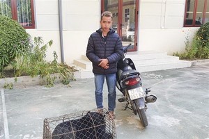 被扣押的非法販運黑熊者阮春德及一頭小黑熊的物證。（圖源：警方提供）