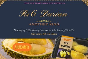 按澳洲進口商優譚公司規格而打包裝的Ri6冷凍榴槤。（圖源：MOIT）