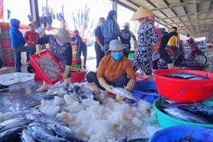 芽莊市熱嶼漁港復業自9月15日起正式復業。（圖源：明戰）